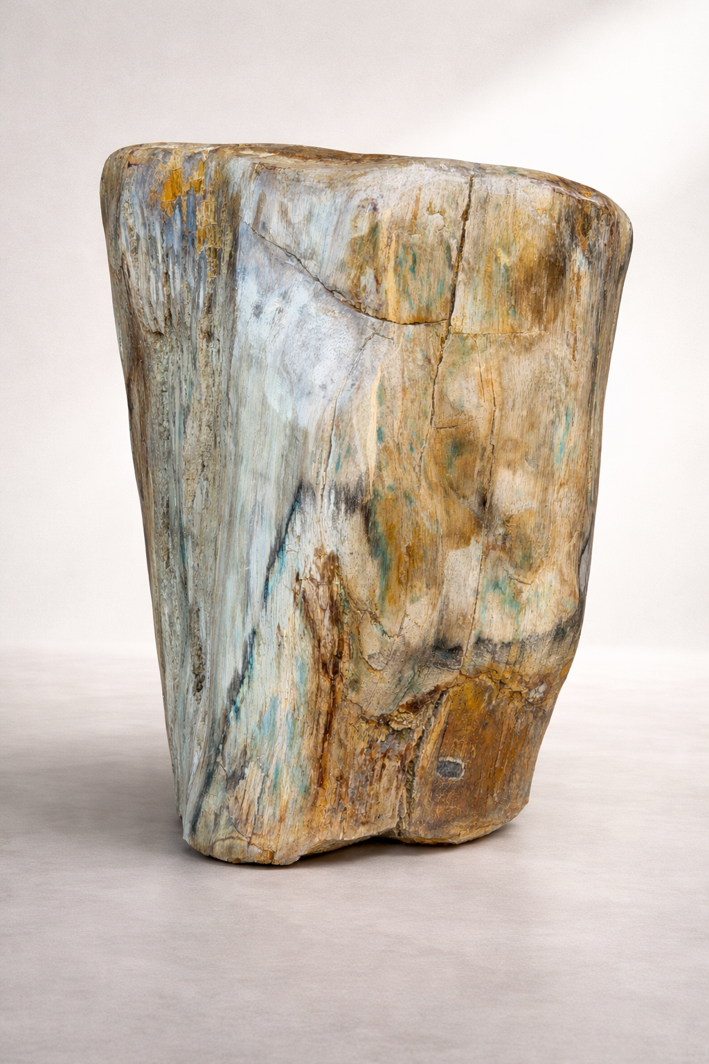 Petrified Wood from Java, Indonesia
