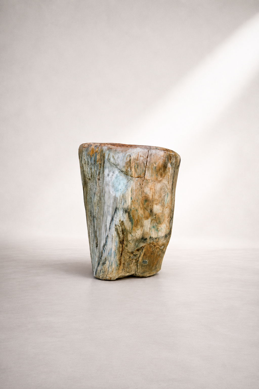 Petrified Wood from Java, Indonesia