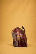 Raw Red Jaspe