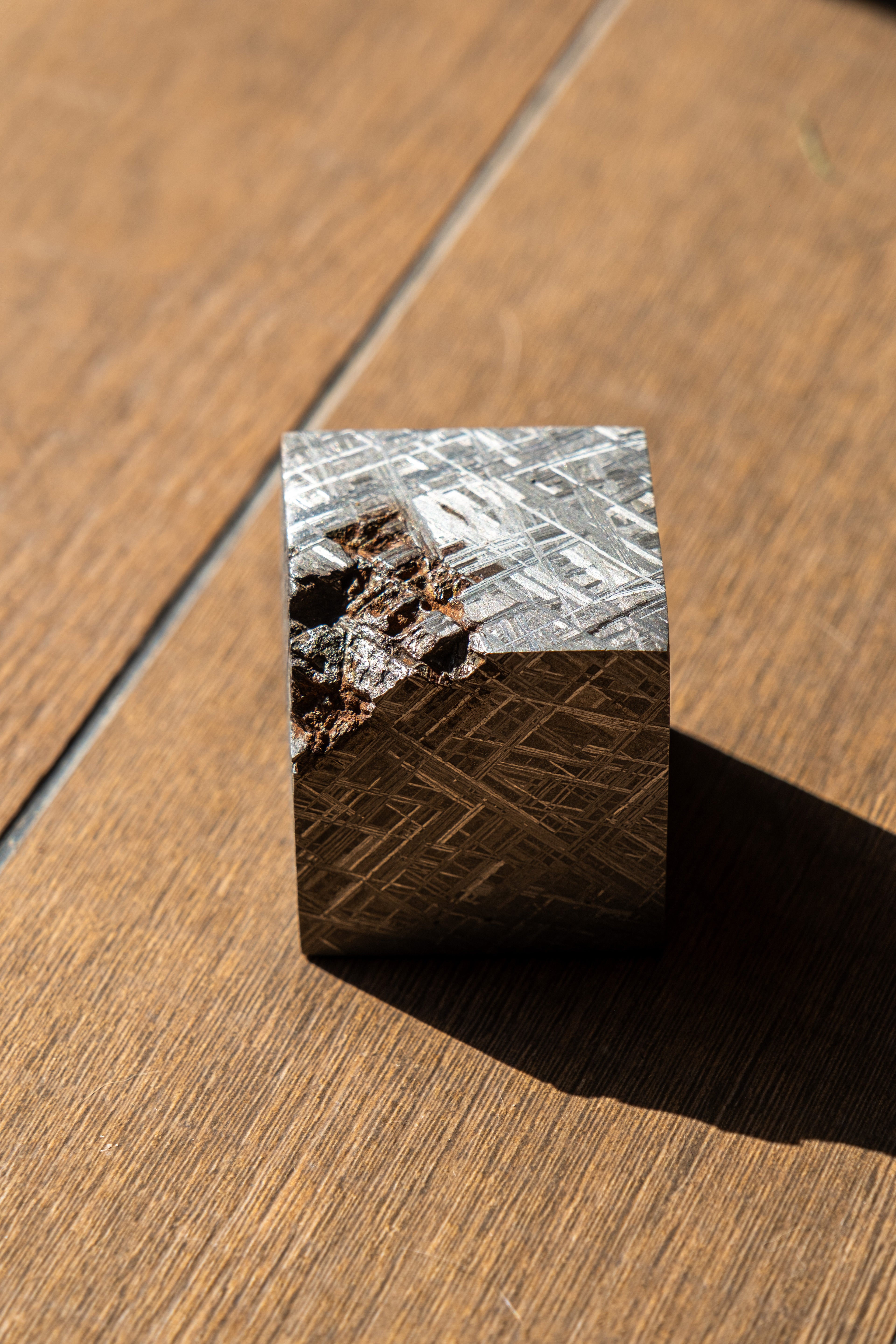 Authentic Muonionalusta Meteorite — 1.5 kg Extraterrestrial Collector’s Piece