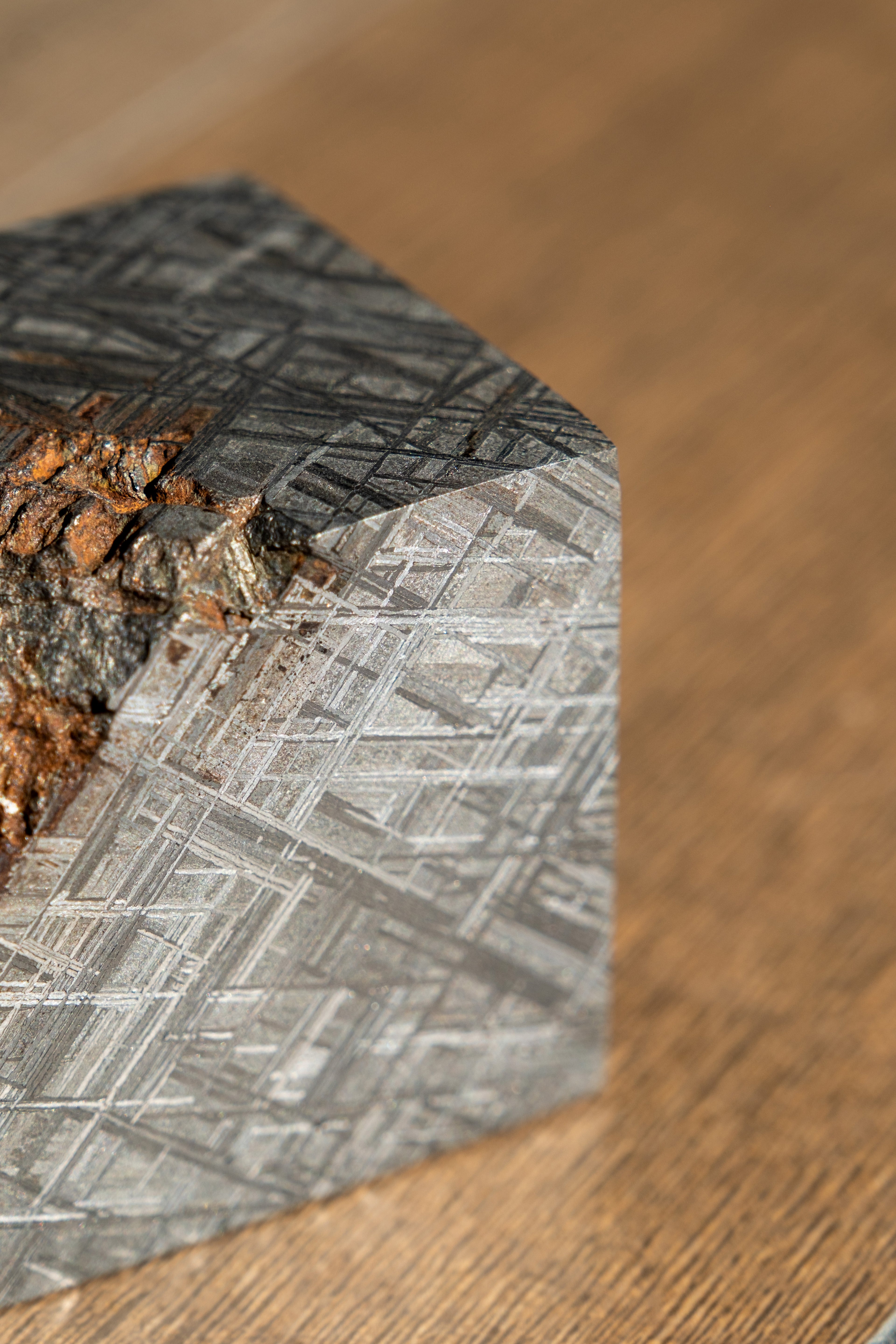 Authentic Muonionalusta Meteorite — 1.5 kg Extraterrestrial Collector’s Piece